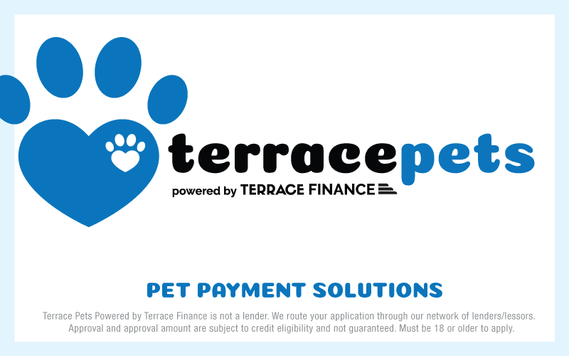 TPets-rectangle-web-banner-800x500
